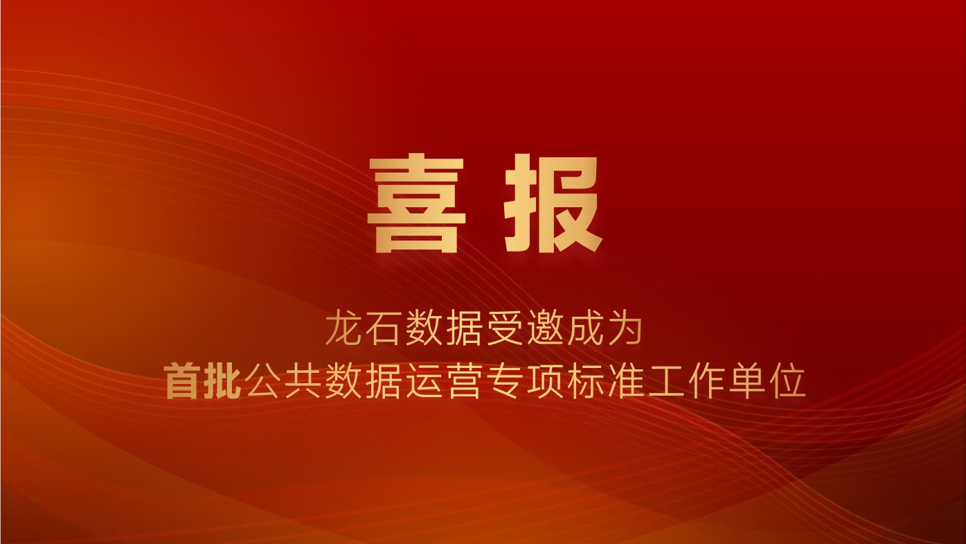 龙石数据受邀成为首批公共数据运营专项标准工作单位