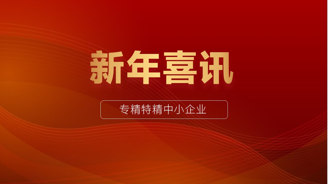 新年喜讯！龙石数据获评园区“专精特新”中小企业