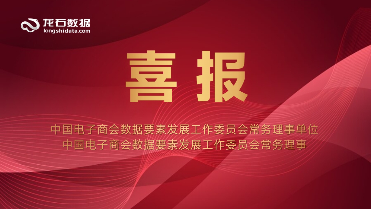 龙石数据荣任中国电子商会数据要素发展工作委员会常务理事单位