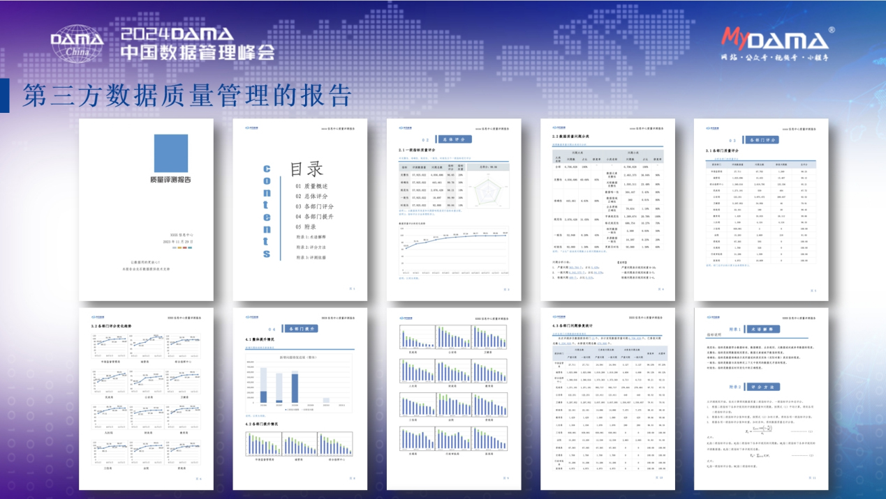 第三方数据质量管理的工具和报告